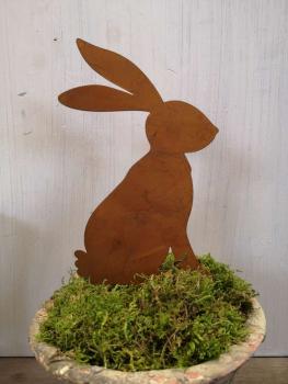 Rosthase zum Stecken